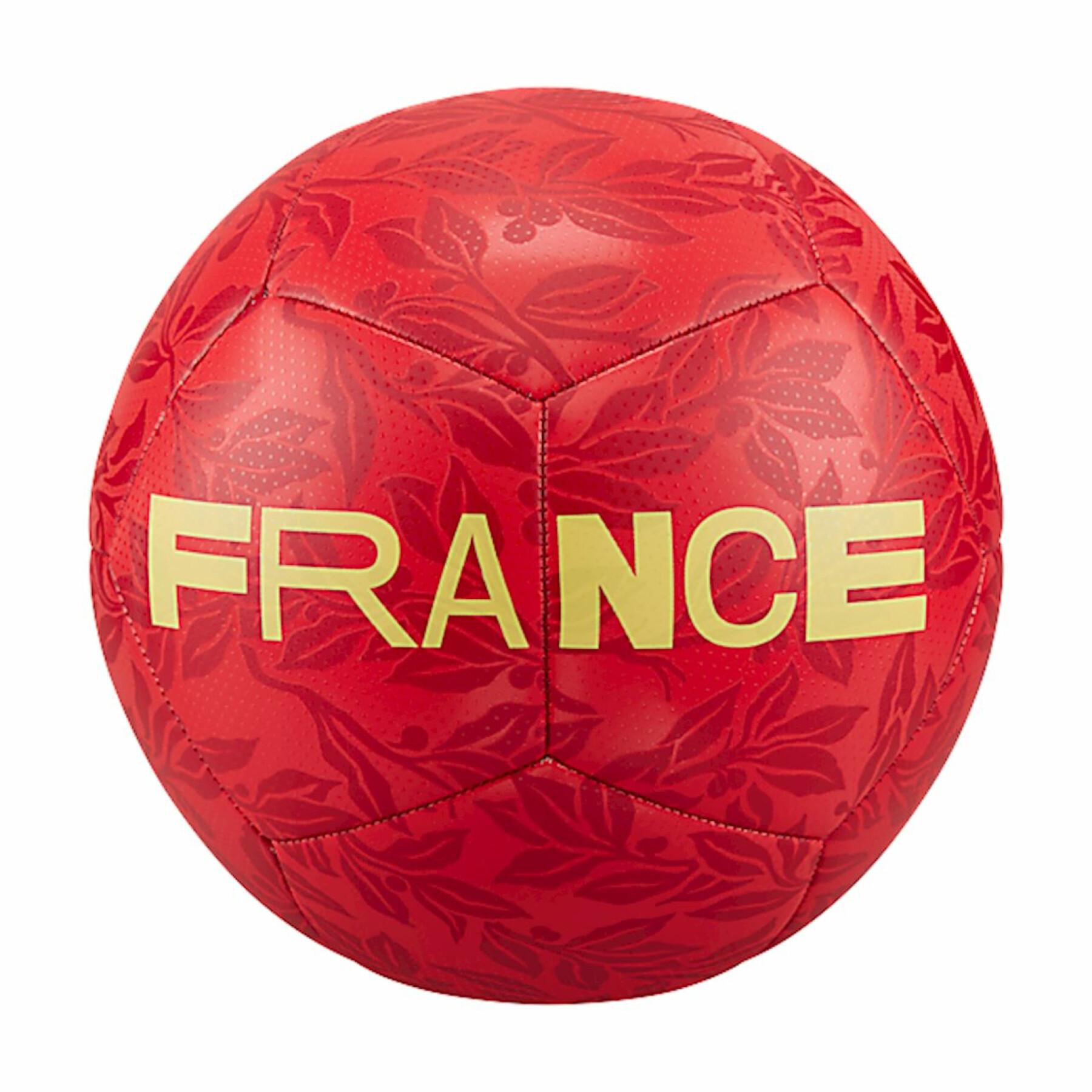 Ballon Frankreich Pitch 2022/23