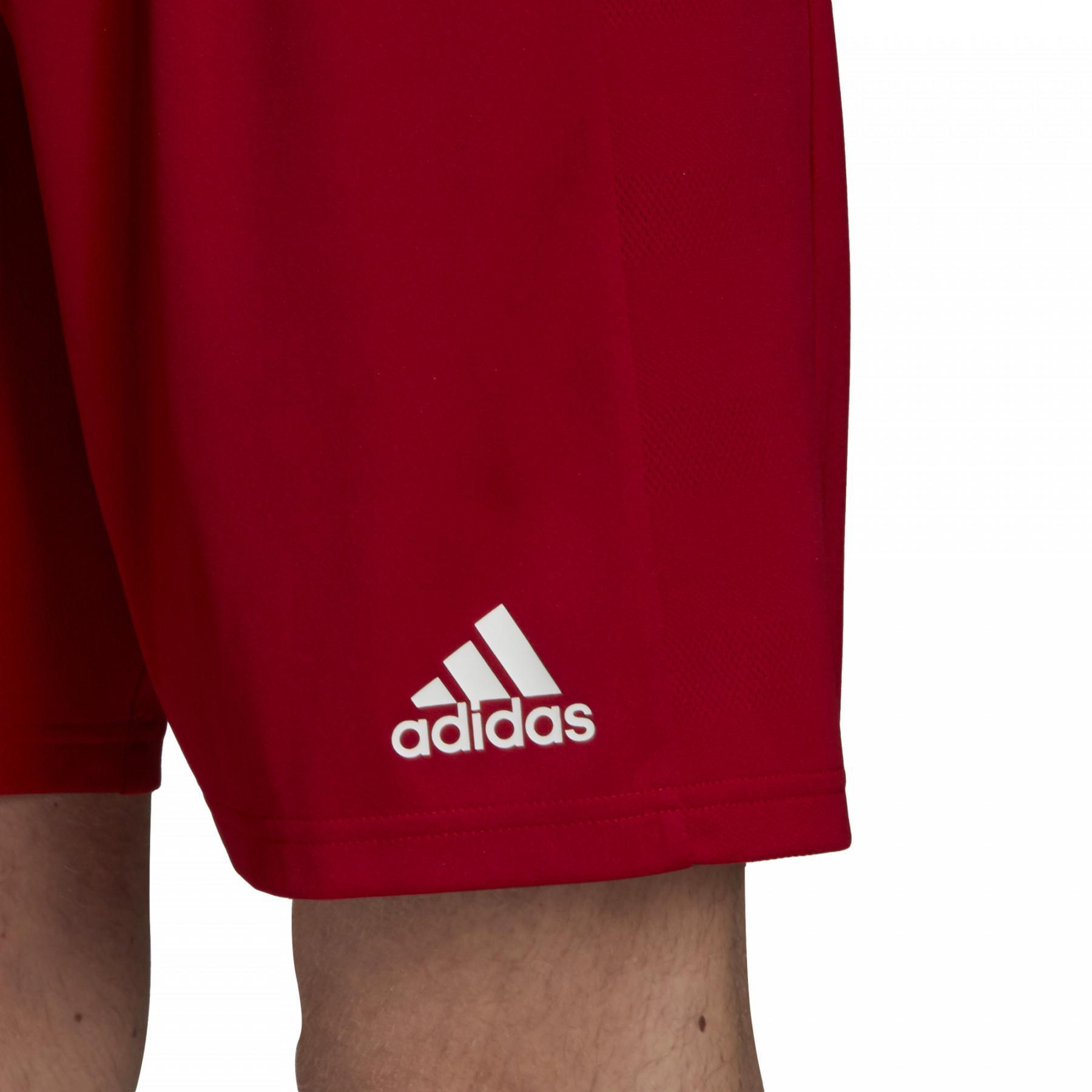 Shorts adidas Team 19