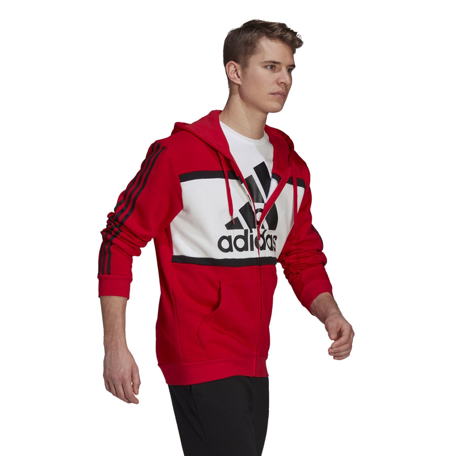 Sweatshirt mit Kapuze adidas Essentials Colorblock Logo