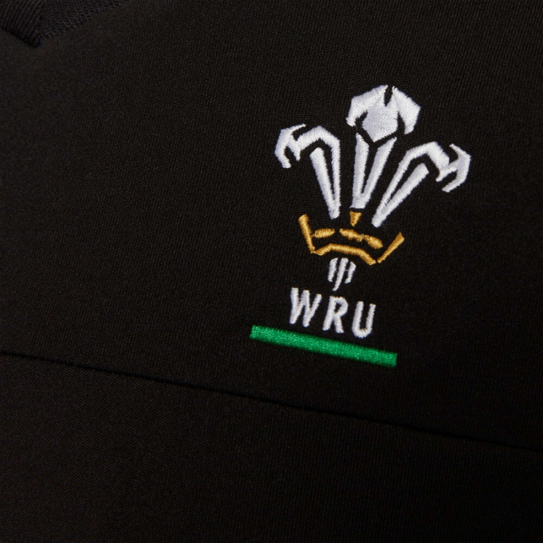 Trikot des Kinderpersonals Pays de Galles Rugby XV 2020/21