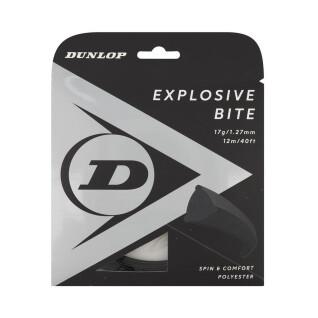 Seil Dunlop explosive bite