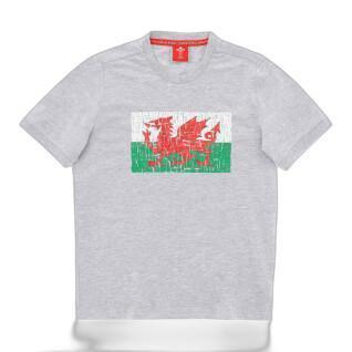 T-Shirt Macron Wales Rugby XV 2020/21