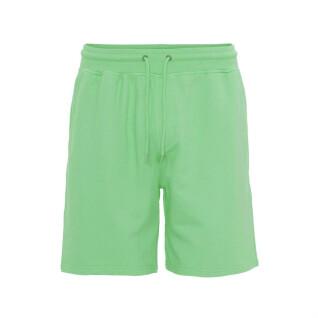Shorts Colorful Standard Classic Organic spring green