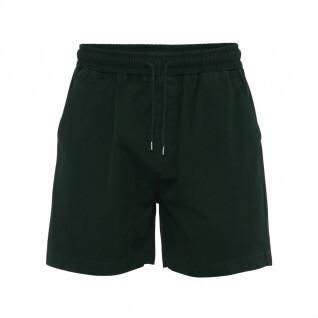 Twill-Shorts Colorful Standard Organic hunter green