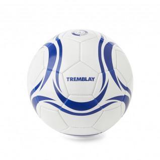 Spitzenpreis Tremblay-Fußball