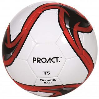 Fußball Proact Challenger