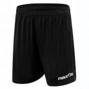 Shorts Macron Bismuth