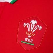 Home Langarmtrikot Pays de Galles rugby 2020/21