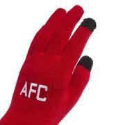 Handschuhe Arsenal 2022/23
