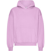 Oversized Hoodie Colorful Standard Organic Cherry Blossom
