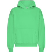 Oversized Hoodie Colorful Standard Organic Spring Green