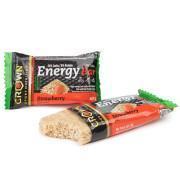 Veganer Ernährungsriegel Crown Sport Nutrition Energy - fraise - 60 g