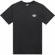T-Shirt Dickies Icon Washed