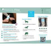Massagegel Pferd Natural Flow 500ml