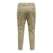 Hose Only & Sons Onslinus Cropped Cord 9912