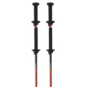 Sticks TSL Move carbon/alu 2 - swing