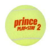 3er Tube Tennisbälle Prince Play & Stay - stage 2